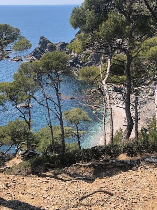 Petite Endroit Splendide. Apartment Six-Fours-les-Plages Luaran gambar