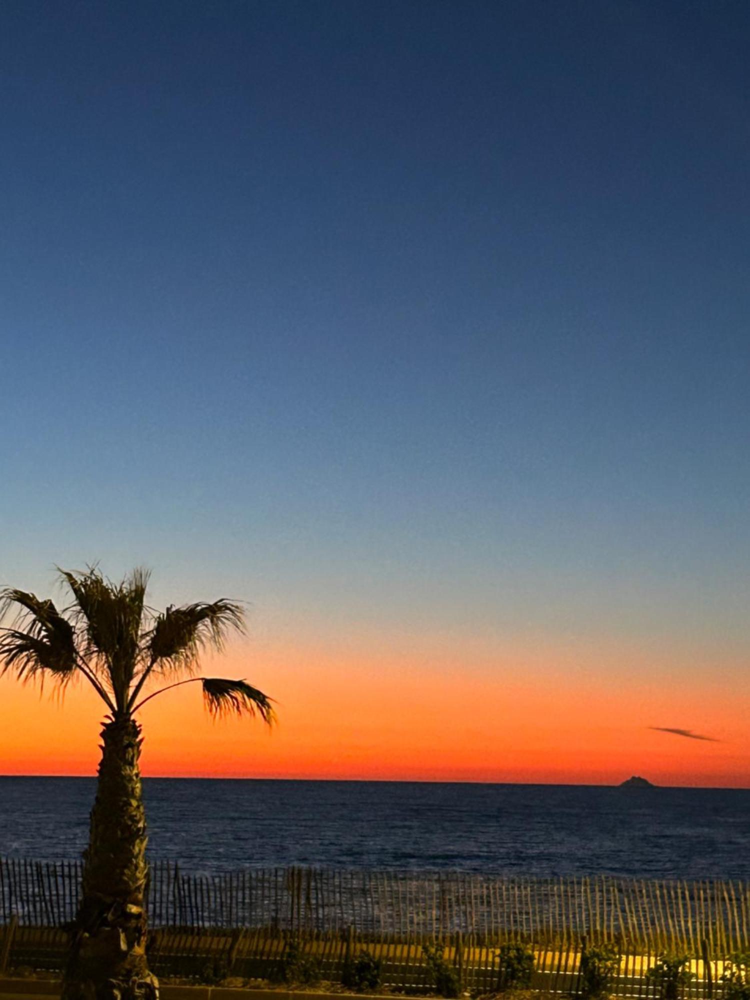 Petite Endroit Splendide. Apartment Six-Fours-les-Plages Luaran gambar