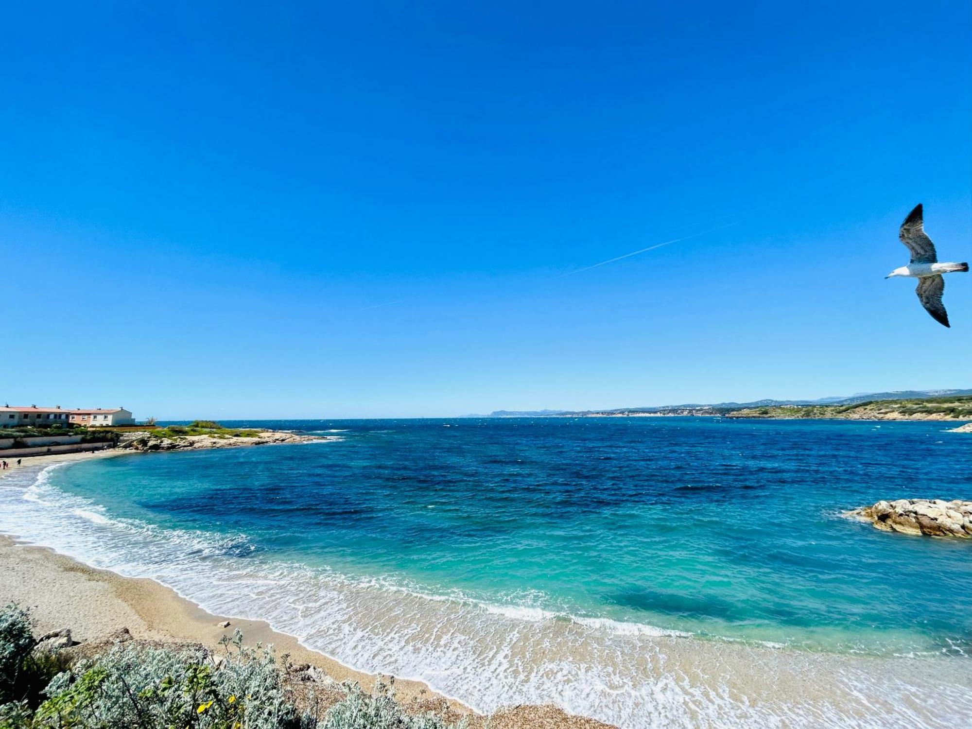 Petite Endroit Splendide. Apartment Six-Fours-les-Plages Luaran gambar